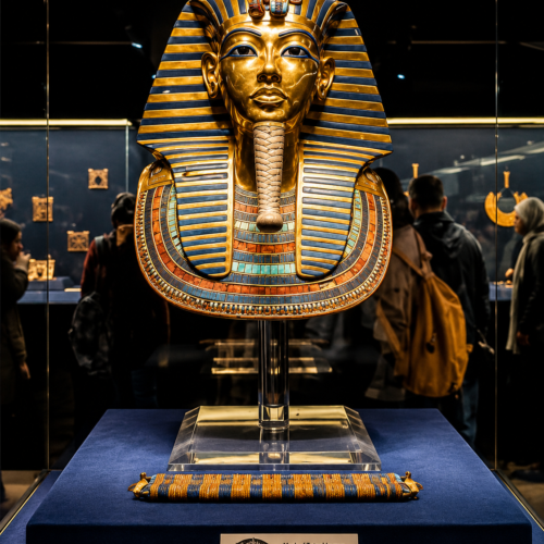 NEW mUSUEUM